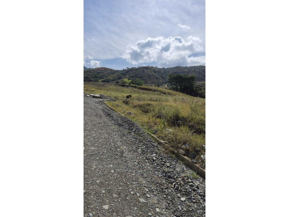SE VENDEN LOTES CAMPESTRES EN CONDOMINIO GINEBRA XU10508825 - 4