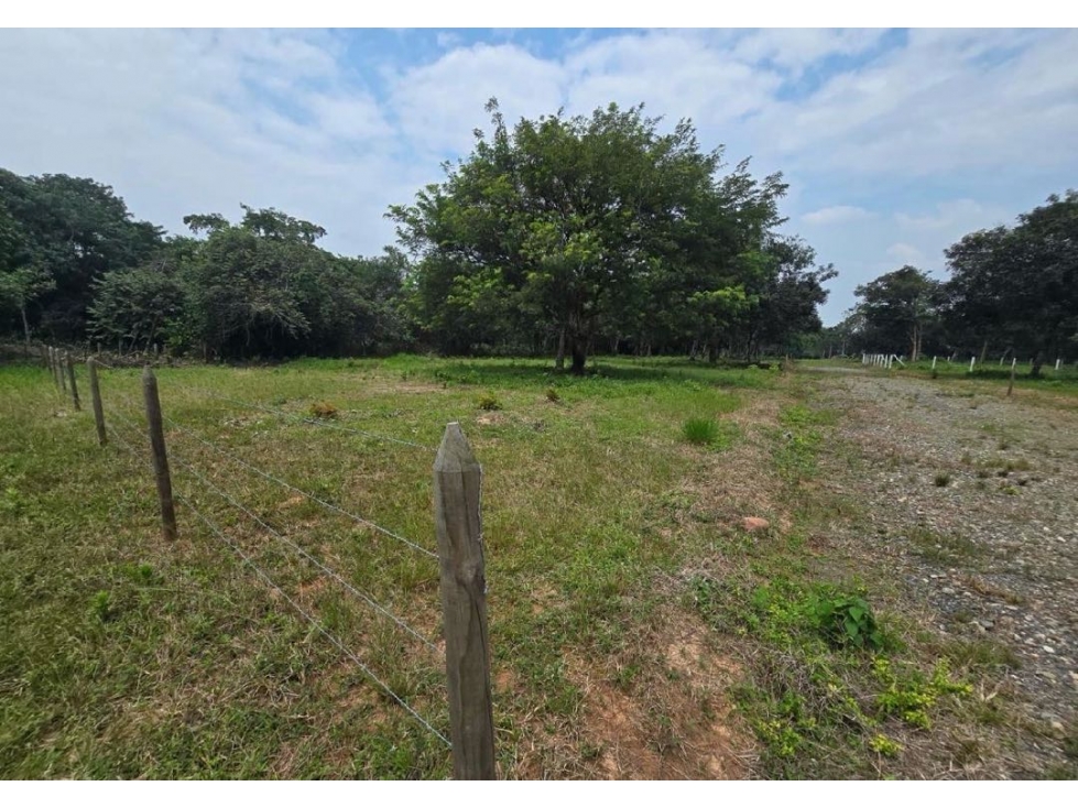 SE VENDEN LOTES CAMPESTRES EN SENDEROS DE VILLA LUZ | ARAGUANEY YOPAL — foto 2
