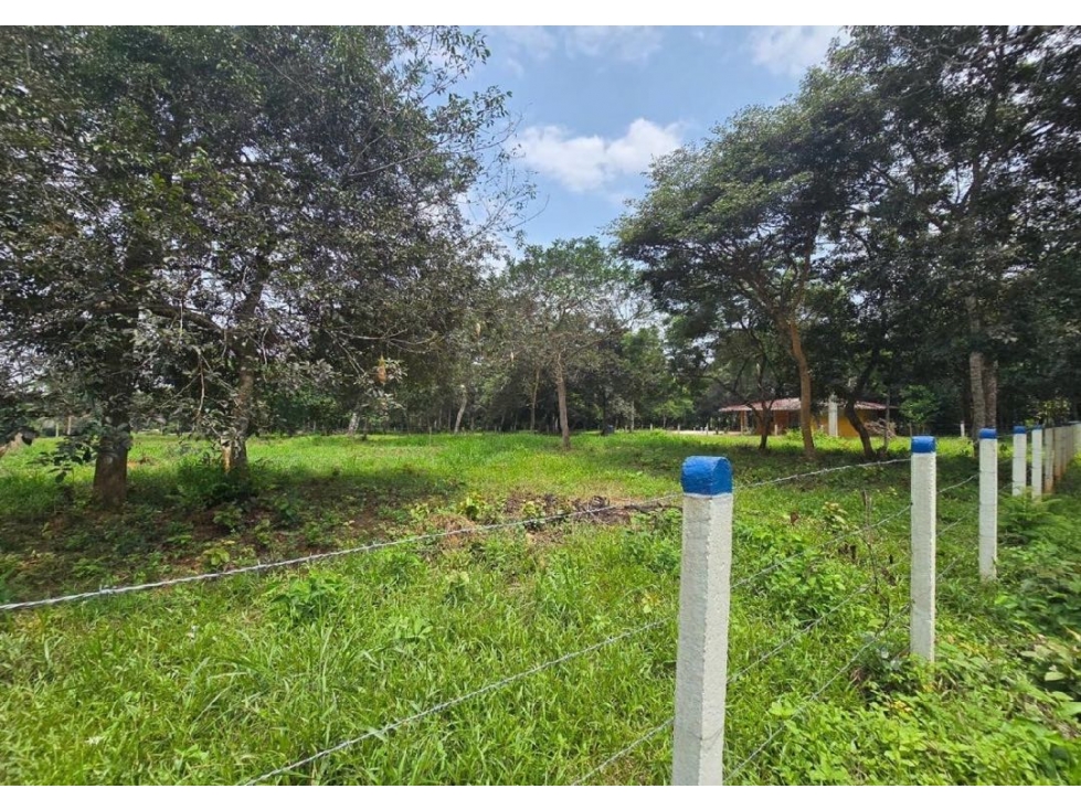 SE VENDEN LOTES CAMPESTRES EN SENDEROS DE VILLA LUZ | ARAGUANEY YOPAL — foto 3