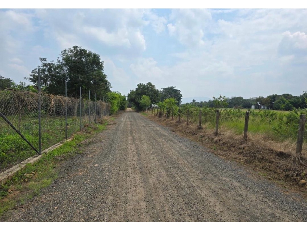 SE VENDEN LOTES CAMPESTRES EN SENDEROS DE VILLA LUZ | ARAGUANEY YOPAL — foto 4