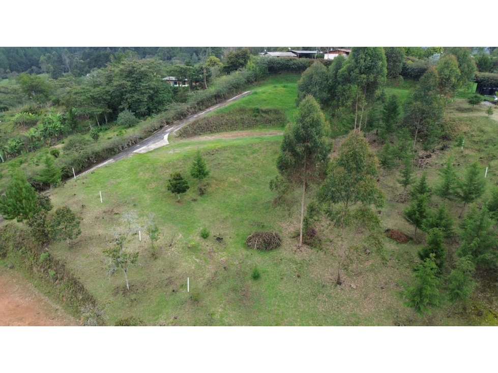 SE VENDEN LOTES CAMPESTRES INDEPENDIENTES EN EL RETIRO AREAS 5000m2