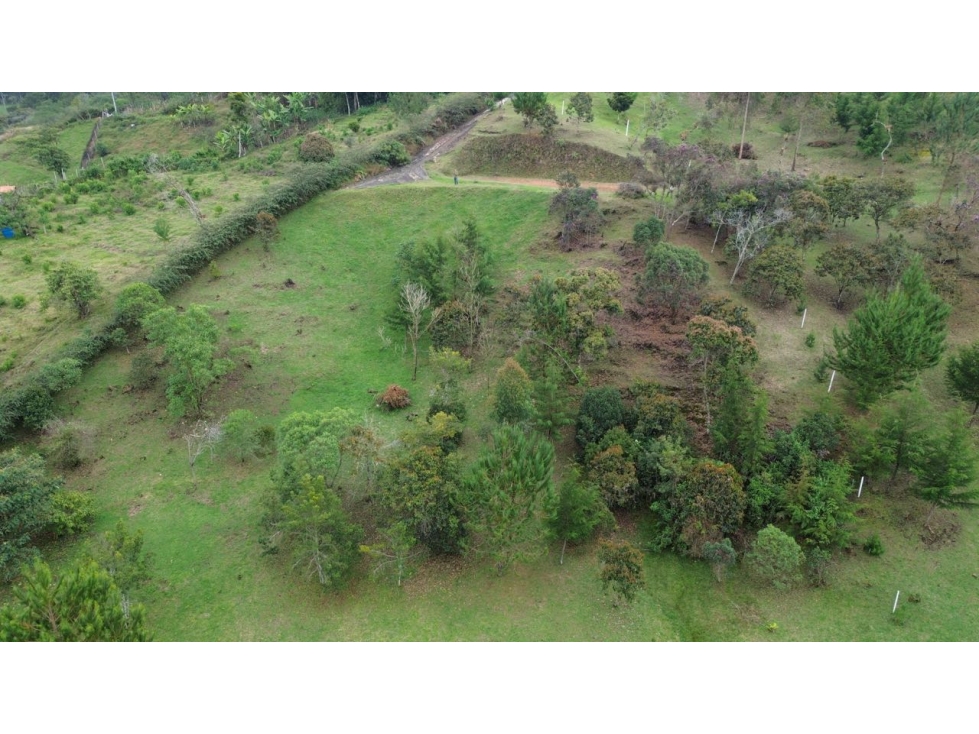 SE VENDEN LOTES CAMPESTRES INDEPENDIENTES EN EL RETIRO AREAS 5000m2 — foto 2
