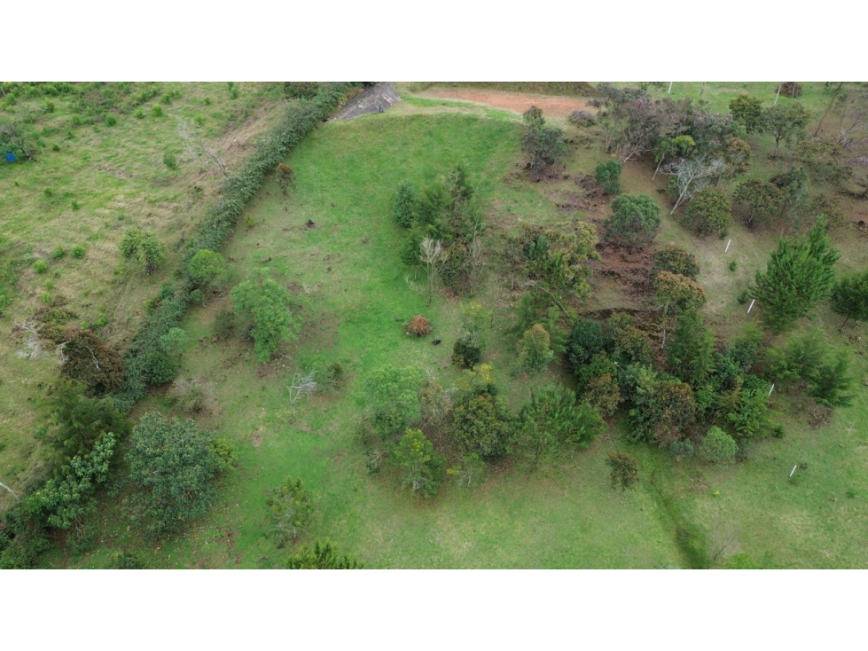 SE VENDEN LOTES CAMPESTRES INDEPENDIENTES EN EL RETIRO AREAS 5000m2 — foto 4