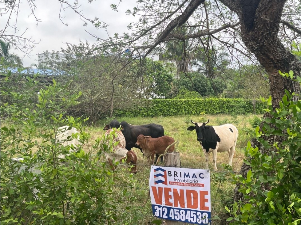 SE VENDEN LOTES CAMPESTRES SOBRE VÍA PRINCIPAL, VÍA SIRIVANA, YOPAL.