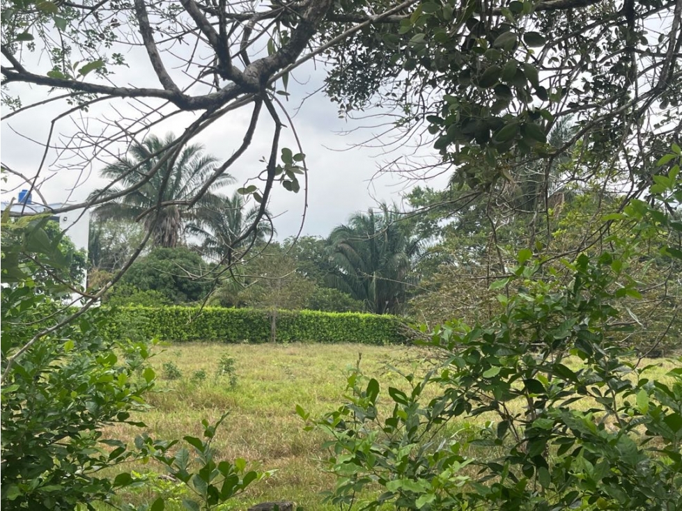 SE VENDEN LOTES CAMPESTRES SOBRE VÍA PRINCIPAL, VÍA SIRIVANA, YOPAL. — foto 2