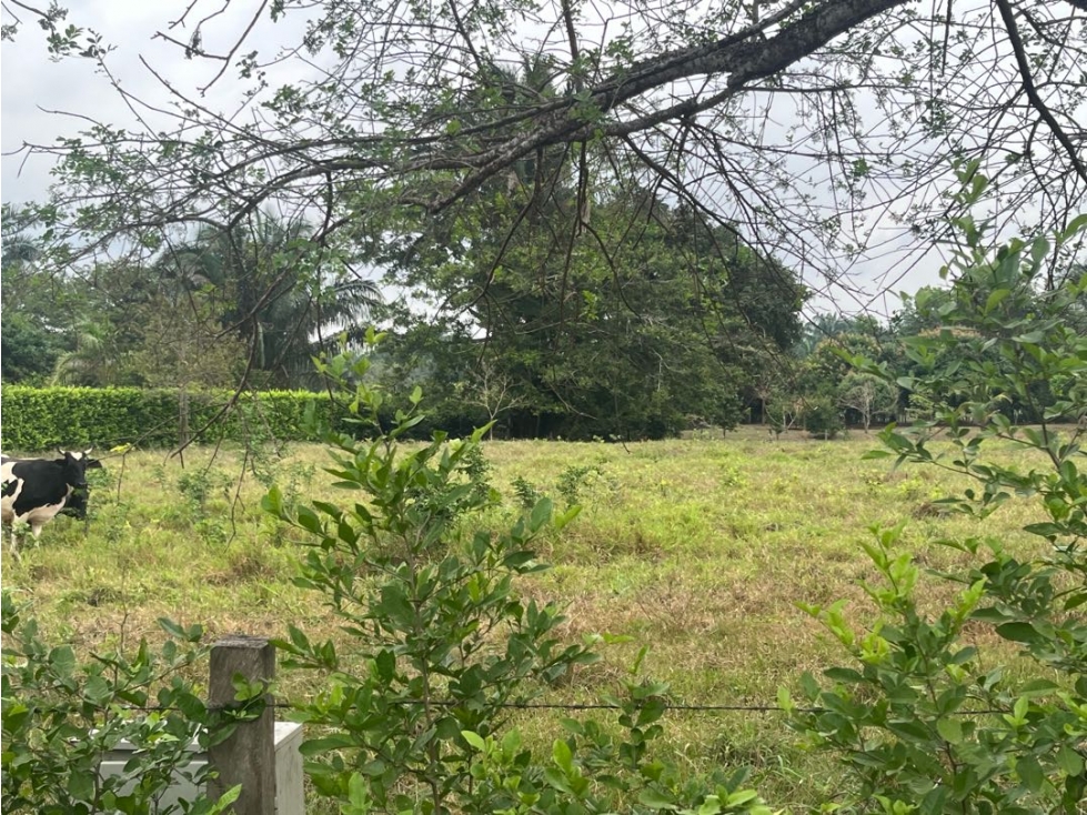 SE VENDEN LOTES CAMPESTRES SOBRE VÍA PRINCIPAL, VÍA SIRIVANA, YOPAL. — foto 3