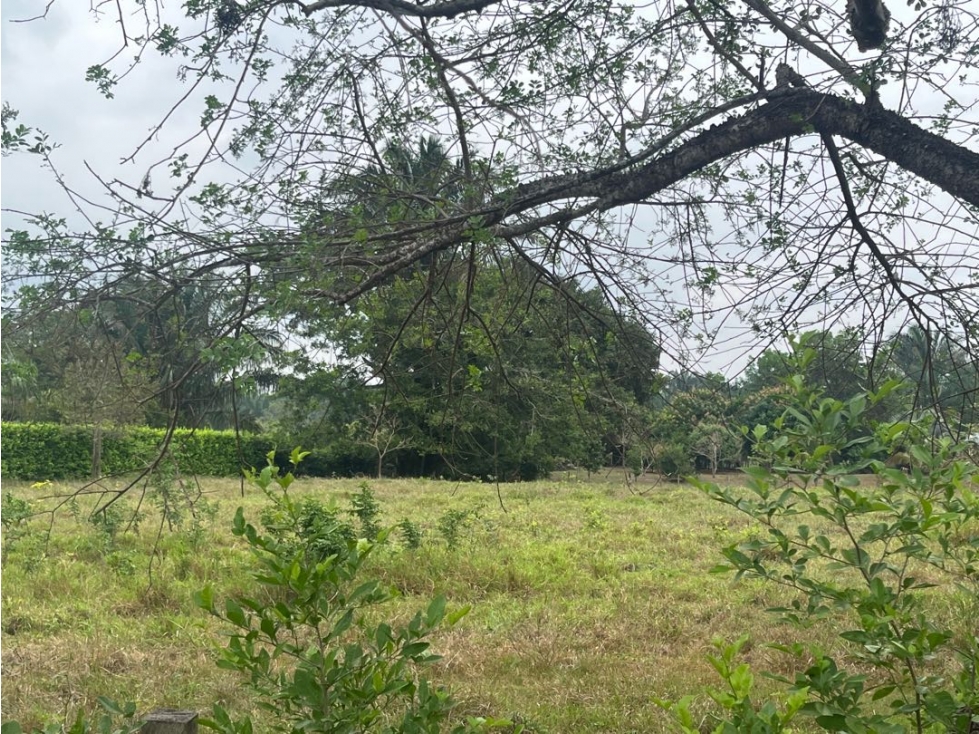 SE VENDEN LOTES CAMPESTRES SOBRE VÍA PRINCIPAL, VÍA SIRIVANA, YOPAL. — foto 4
