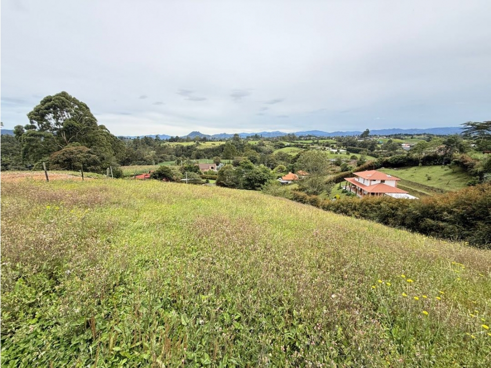 Se venden lotes con hermosa vista en La Palma — foto 2