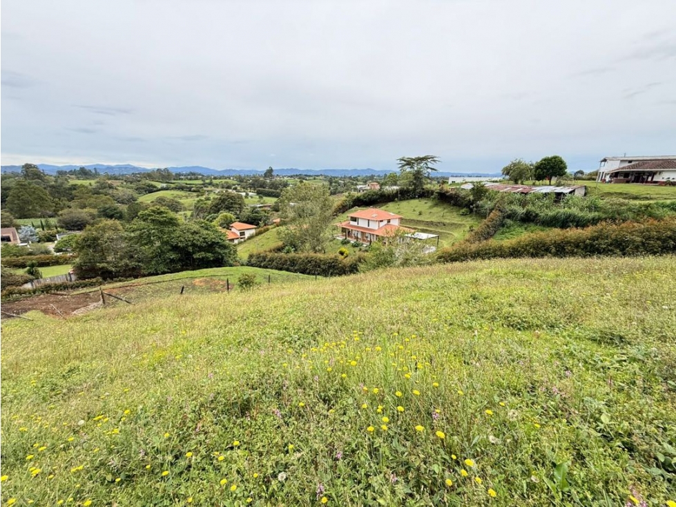 Se venden lotes con hermosa vista en La Palma — foto 3