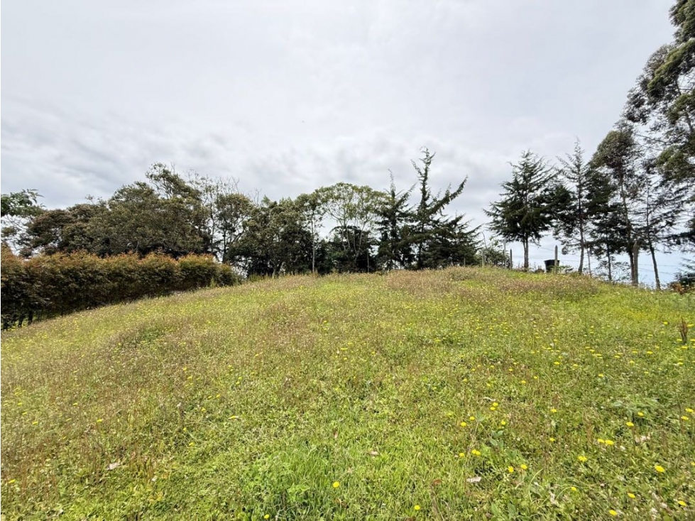 Se venden lotes con hermosa vista en La Palma — foto 4