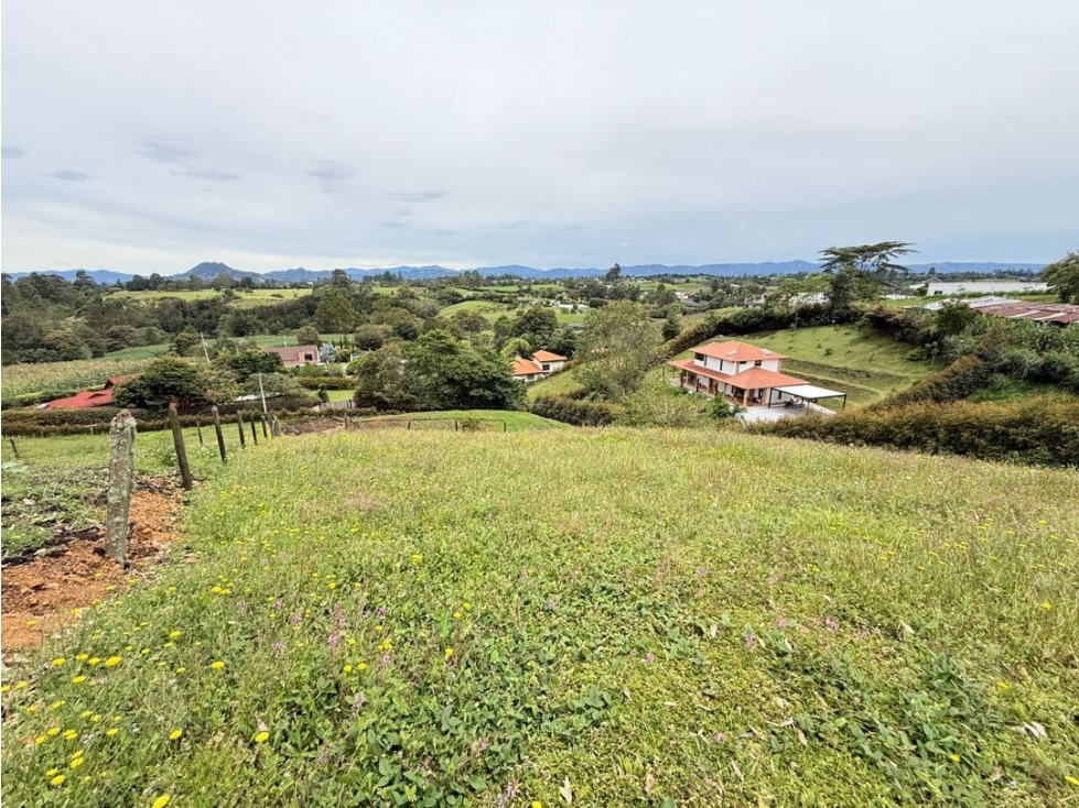 Se venden lotes con hermosa vista en La Palma — foto 6