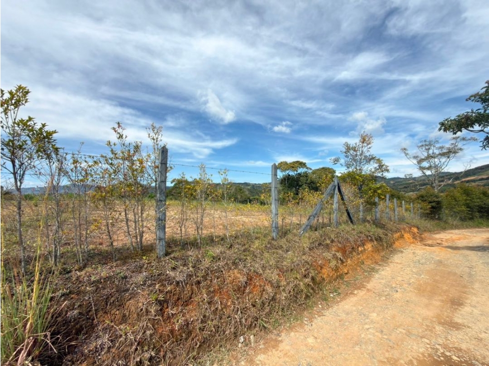 Se venden lotes con hermosa vista en la vereda Rivera — foto 5