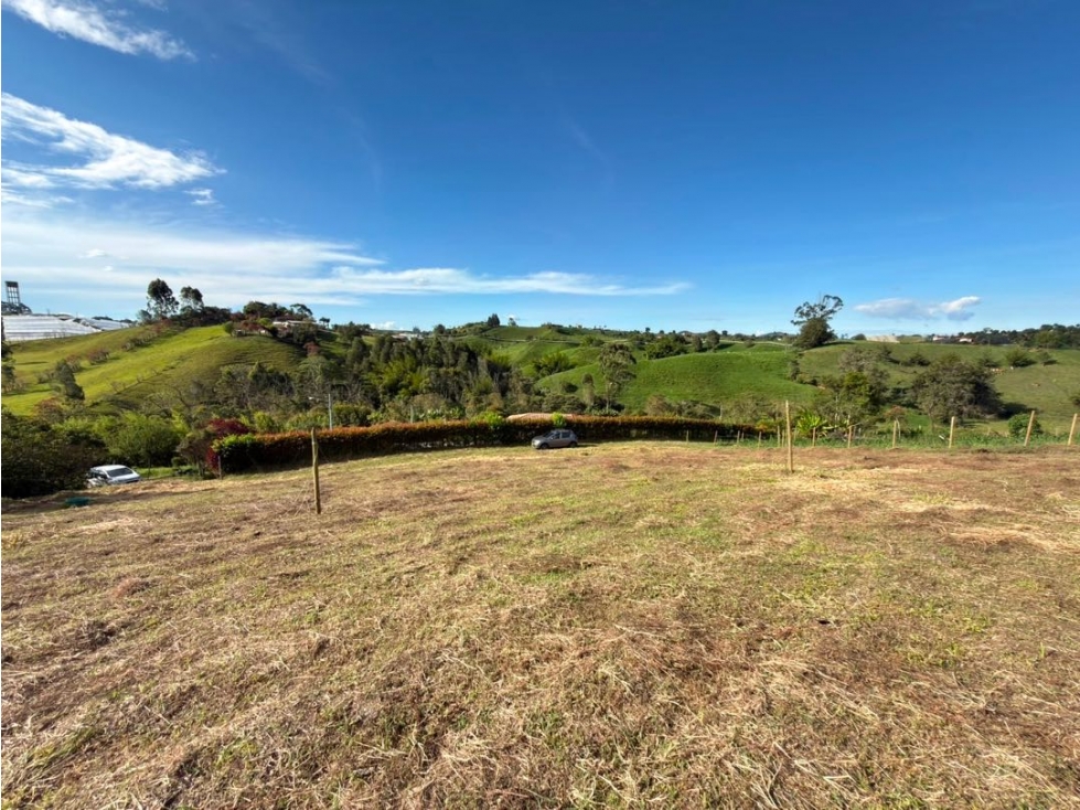 Se venden lotes de 500 m2 en Altogrande