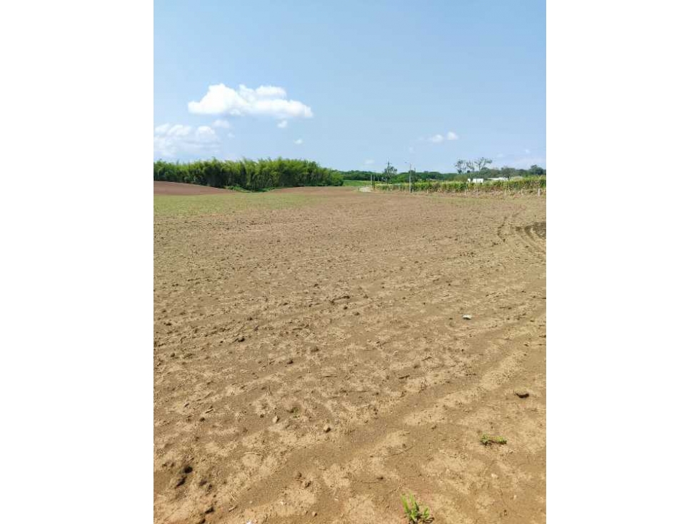 SE VENDEN LOTES EN CERRITOS PLANOS AREA1600 m2