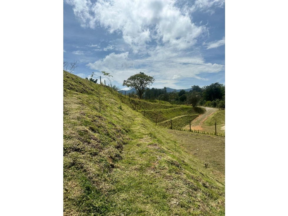 Se venden lotes en condominio San Klhemente La Cucharita — foto 6