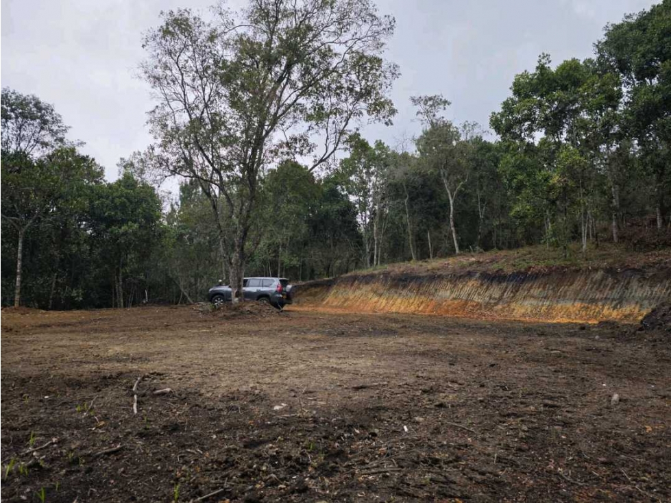 SE VENDEN LOTES EN GUARNE,SECTOR BATEA SECA A 3 KM DE LA AUTOPISTA