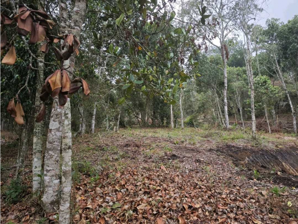 SE VENDEN LOTES EN GUARNE,SECTOR BATEA SECA A 3 KM DE LA AUTOPISTA — foto 3