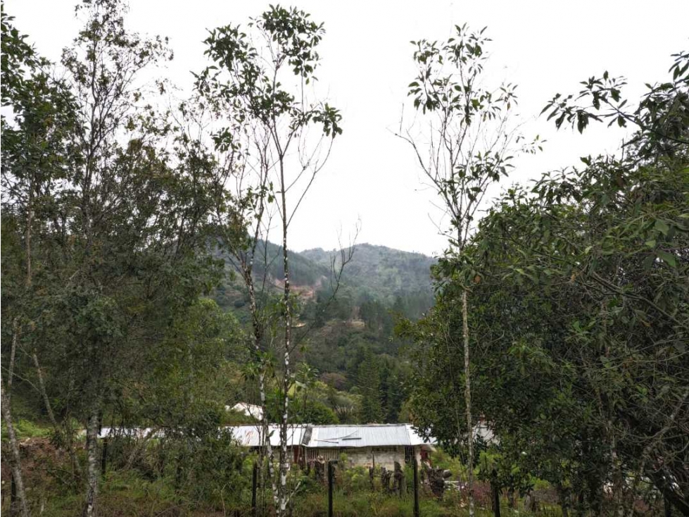 SE VENDEN LOTES EN GUARNE,SECTOR BATEA SECA A 3 KM DE LA AUTOPISTA — foto 4
