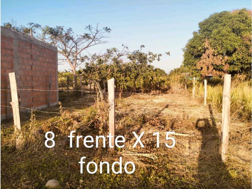 SE VENDEN LOTES EN LA PEDRERA YOPAL — foto 2