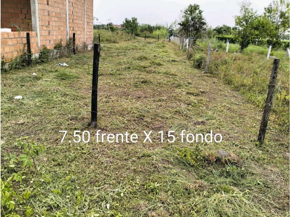SE VENDEN LOTES EN LA PEDRERA YOPAL — foto 4