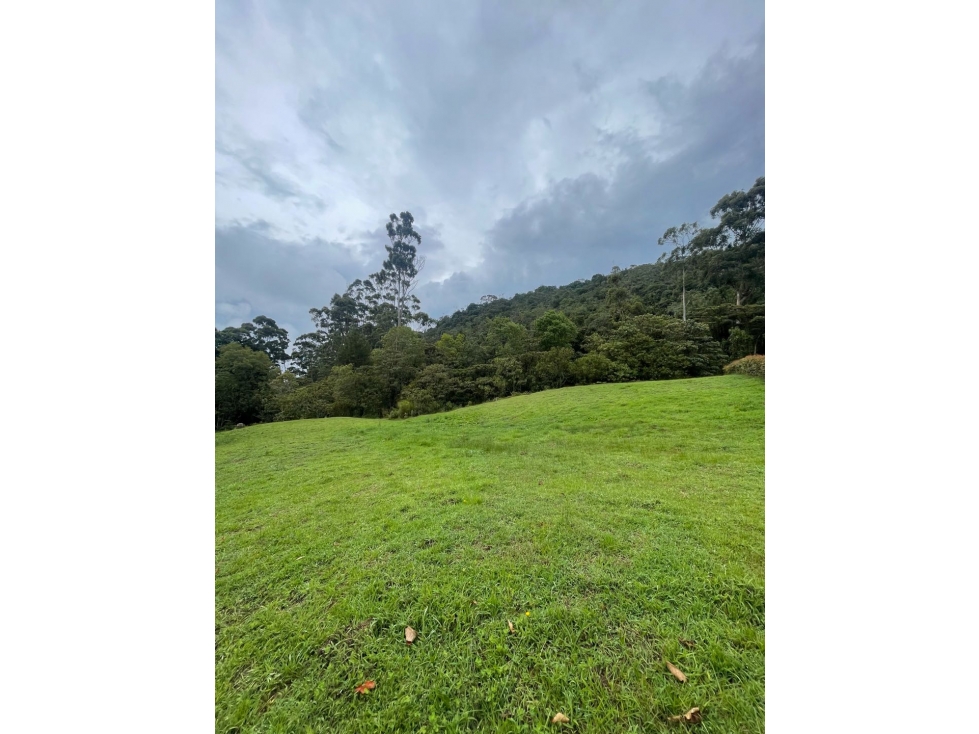 SE VENDEN LOTES EN PARCELACION ABIERTA EN LA CEJA@ — foto 4