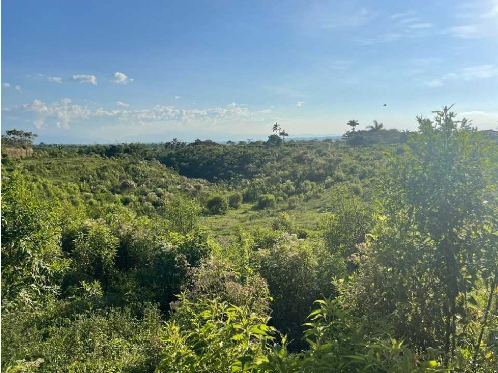 Se Venden Lotes Para Casas Típicas Modernas Condominio Cerrado — foto 4