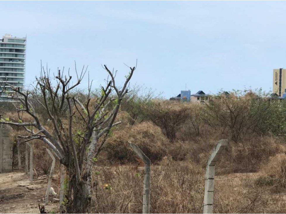 Se vende o permuta lote en vista hermosa santa Marta — foto 6
