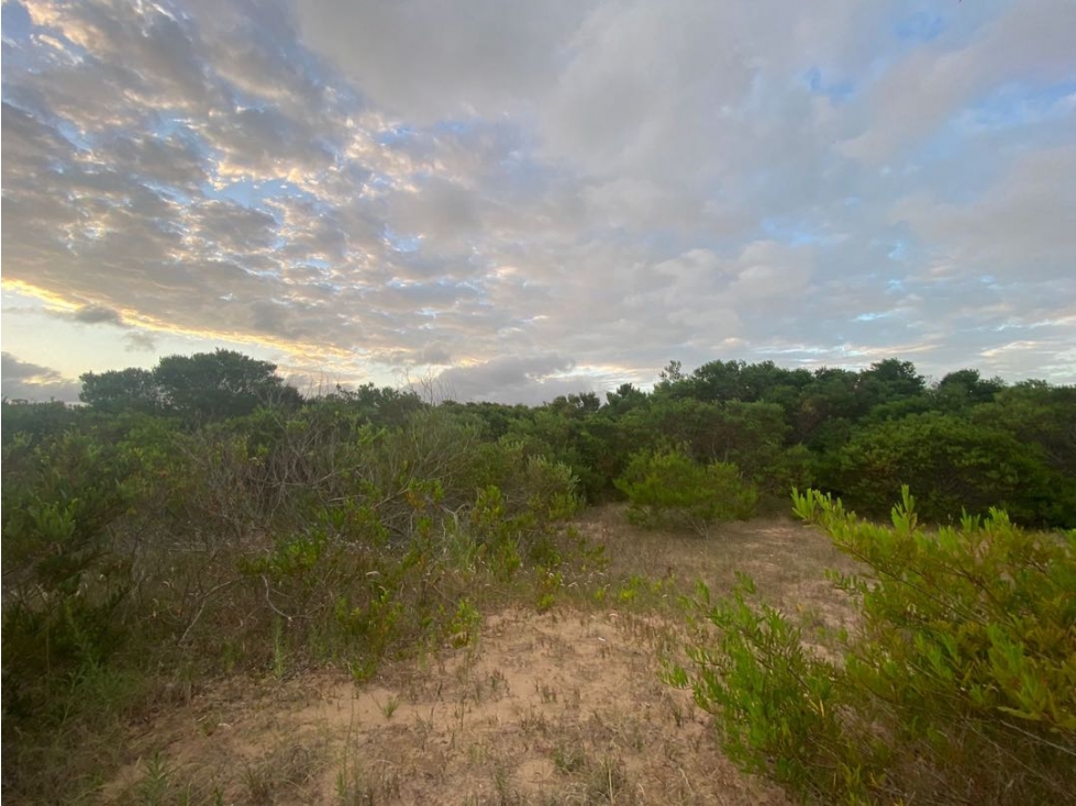 SENDEROS IV 424 -COSTA ESMERALDA - LOTE EN VENTA - 2