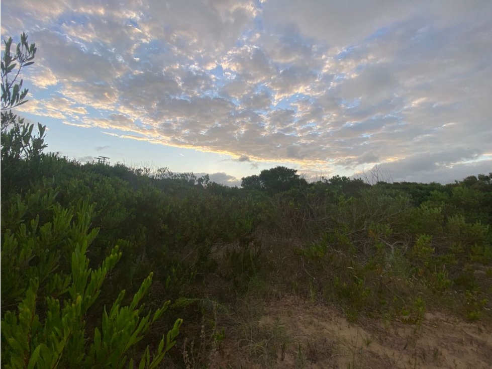 SENDEROS IV 424 -COSTA ESMERALDA - LOTE EN VENTA - 3