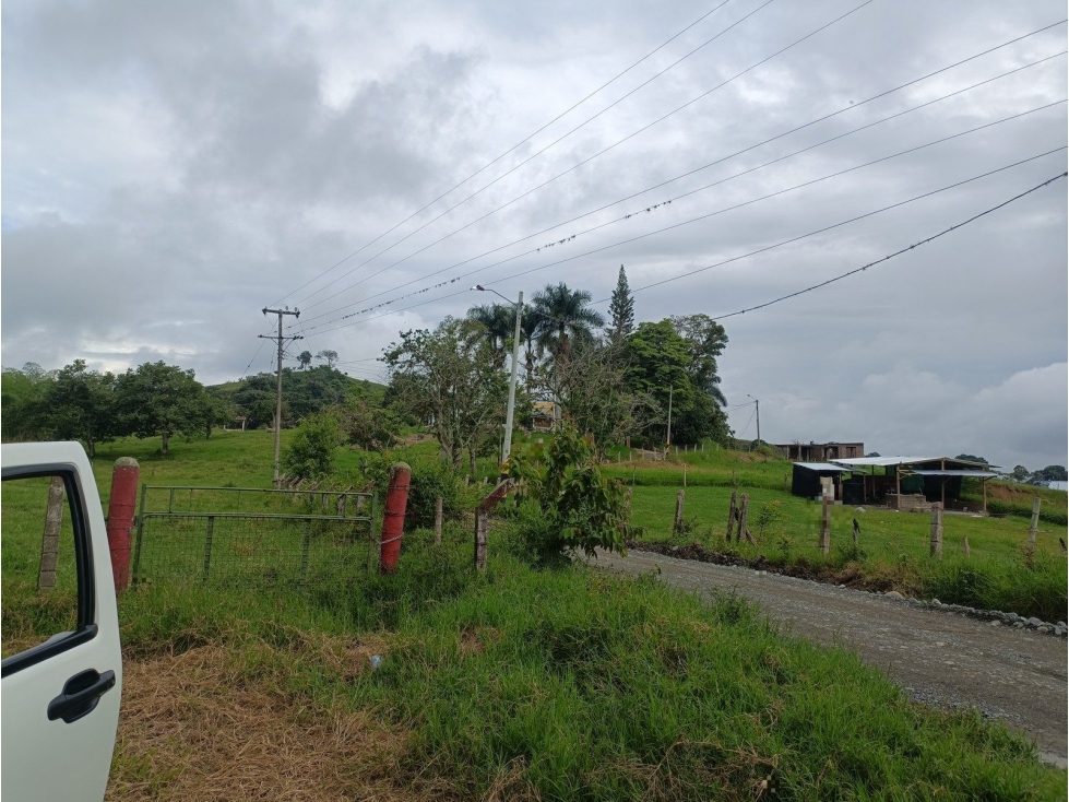 SITIO DEL EL GALLON, TULUA. SARABANDA - 2
