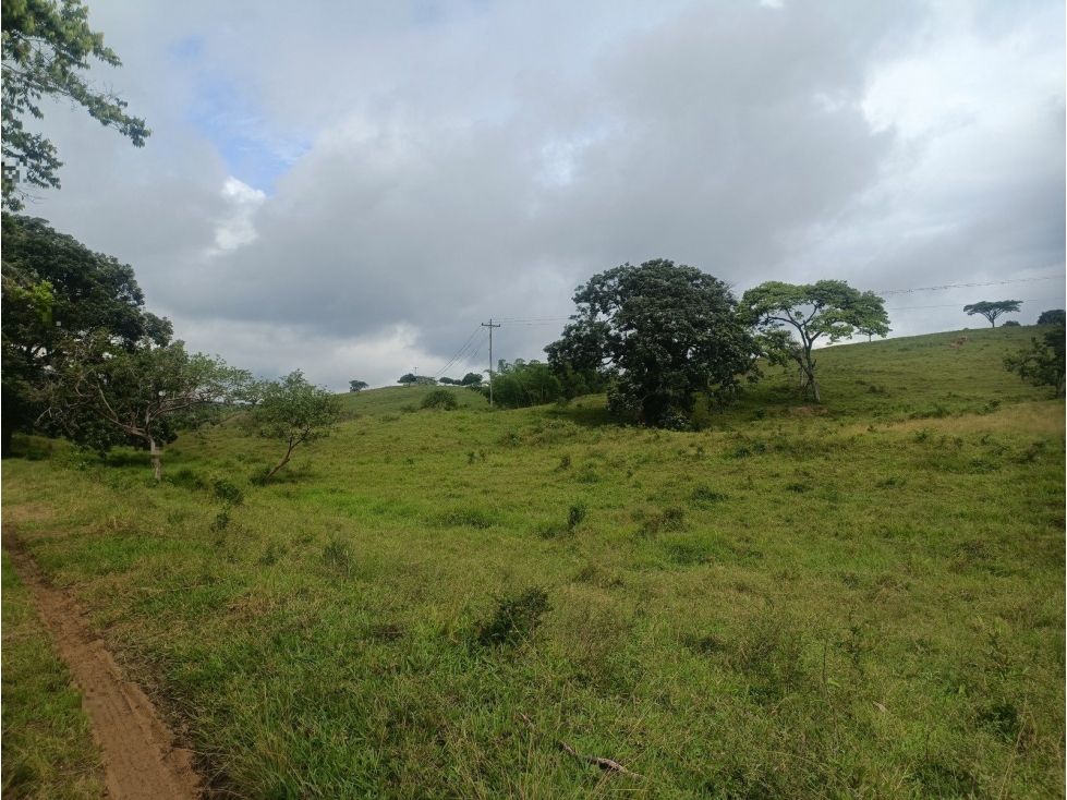 SITIO DEL EL GALLON, TULUA. SARABANDA - 3
