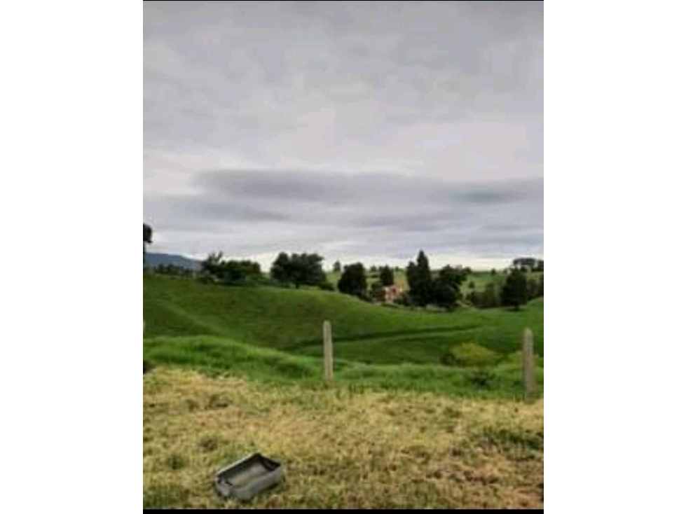 Se vende finca ganadera via san pedrode los milagros. — foto 3