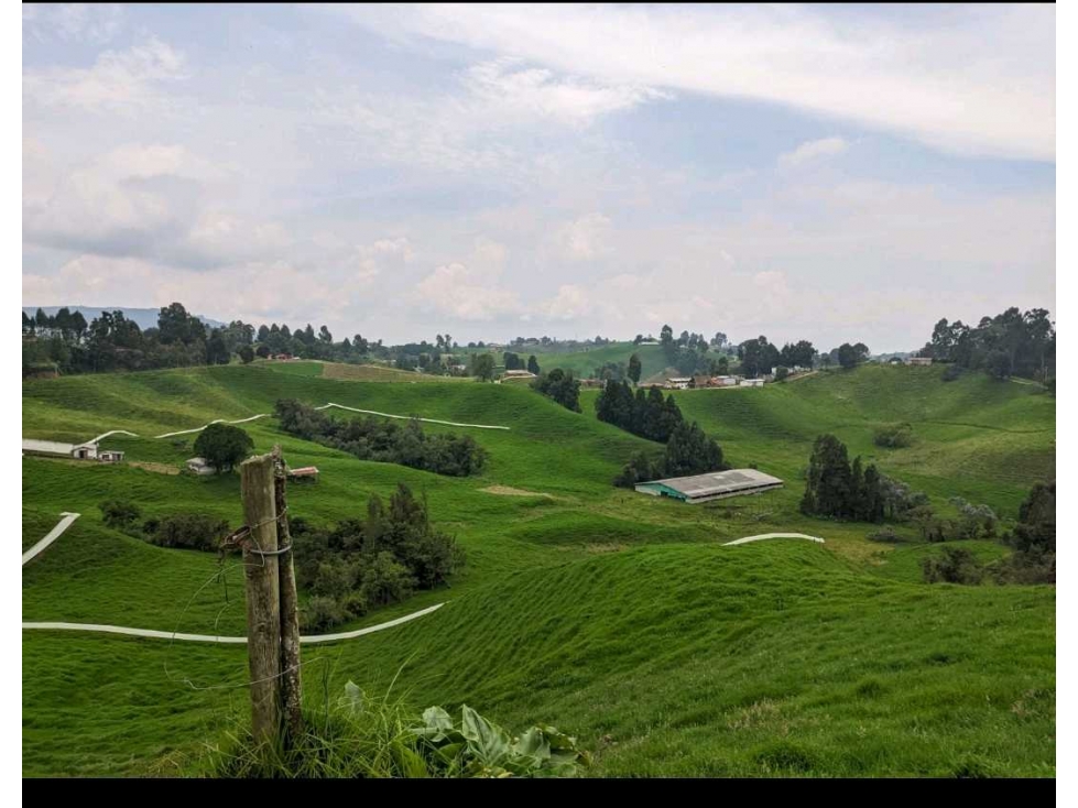 Se vende finca ganadera via san pedrode los milagros. — foto 4