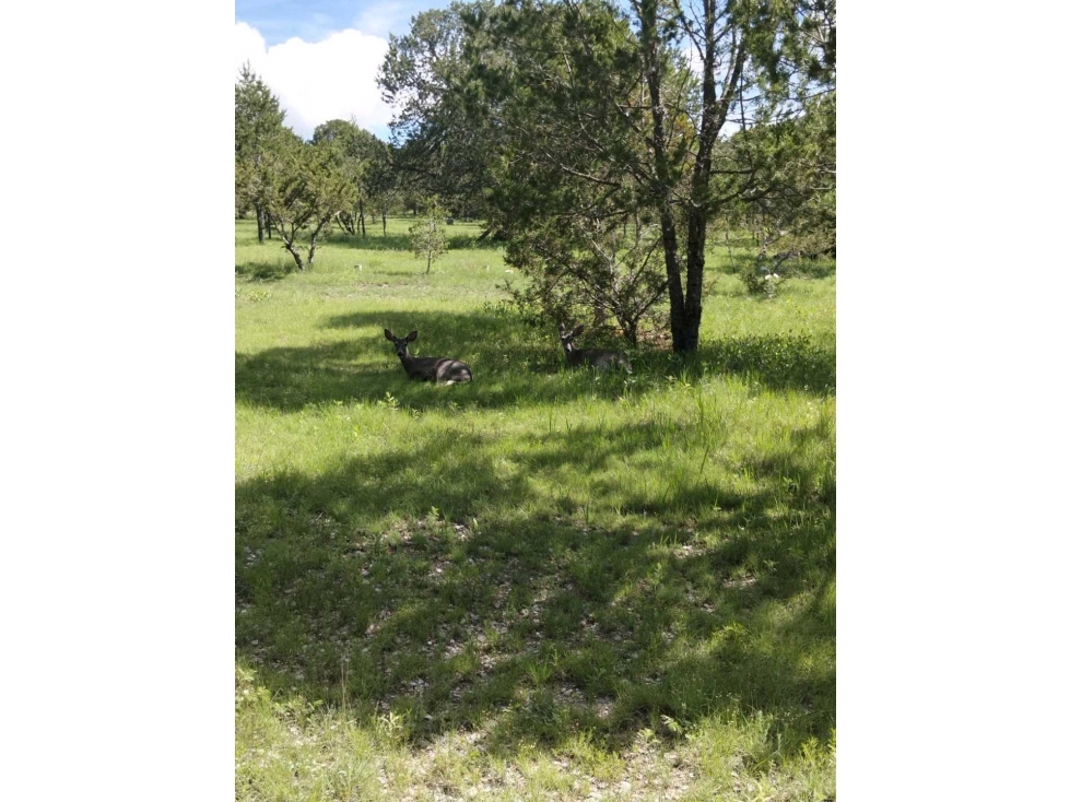 Terreno 2,000mtr Sierra Escondida" km 209 precio mtr $380 negociable — foto 2