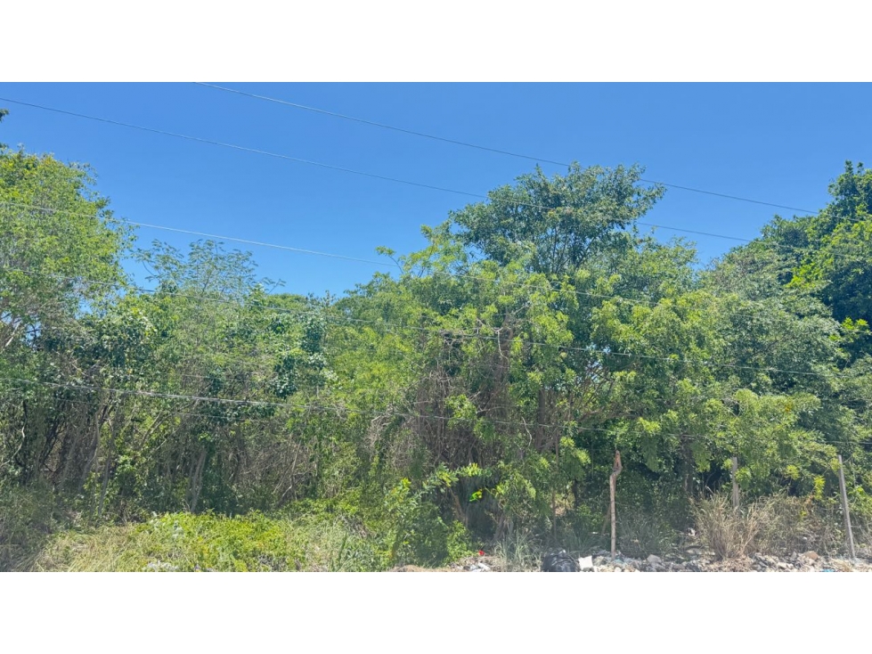 Venta de Terreno 331 m2, Playa del Carmen - 4