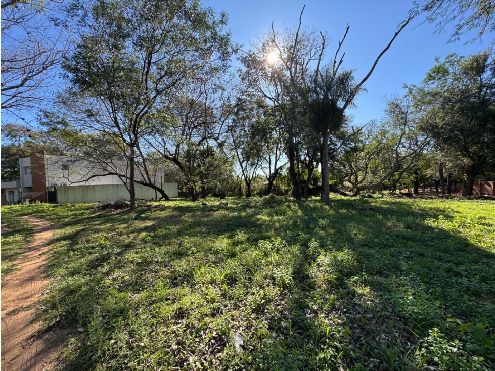 Terreno 480 m2 San Bernardino - 2