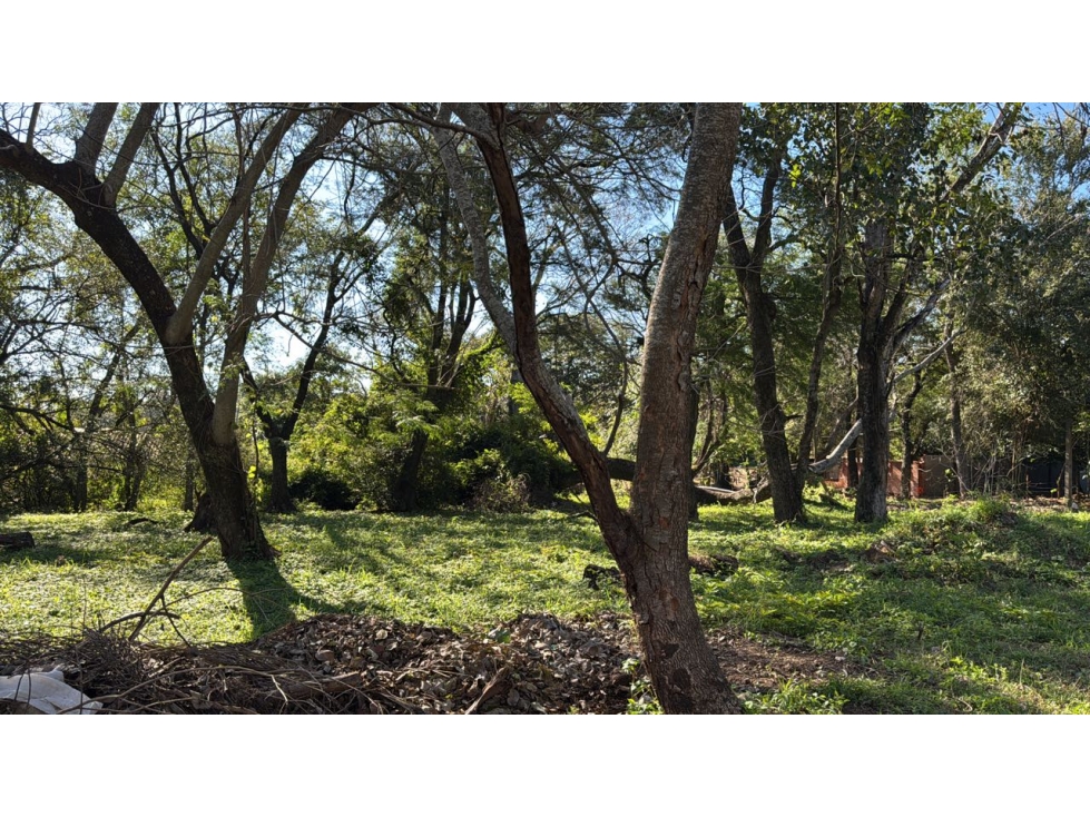 Terreno 480 m2 San Bernardino - 3