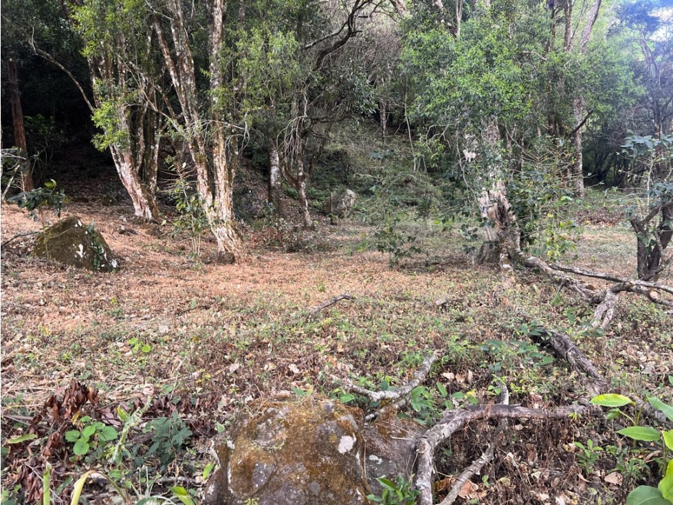 Terreno a la venta en Alto Boquete - 5