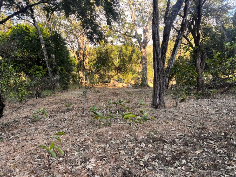 Terreno a la venta en Alto Boquete - 6
