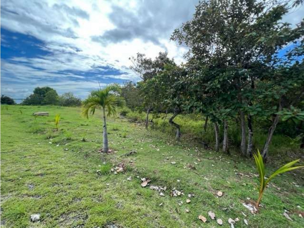 Terreno a la Venta en Boca Chica - 2