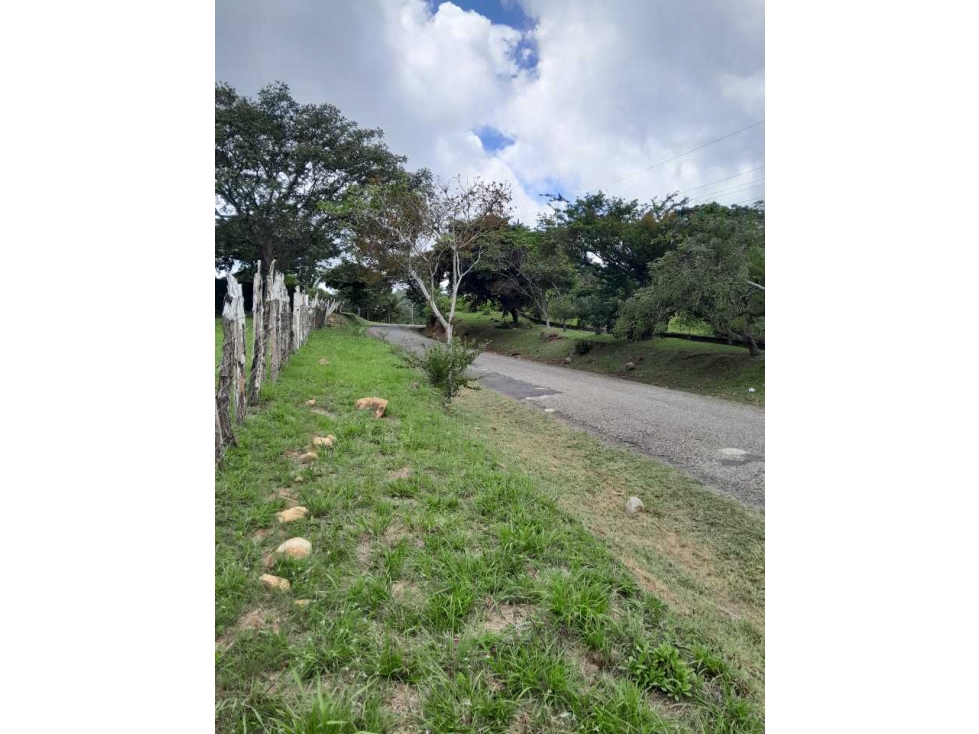 TERRENO A LA VENTA EN CAMINO A LA LAGUNA CHAME - 3