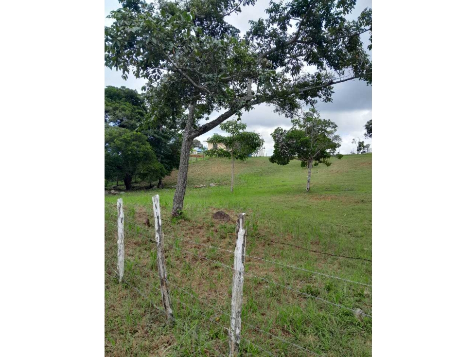 TERRENO A LA VENTA EN CAMINO A LA LAGUNA CHAME - 4