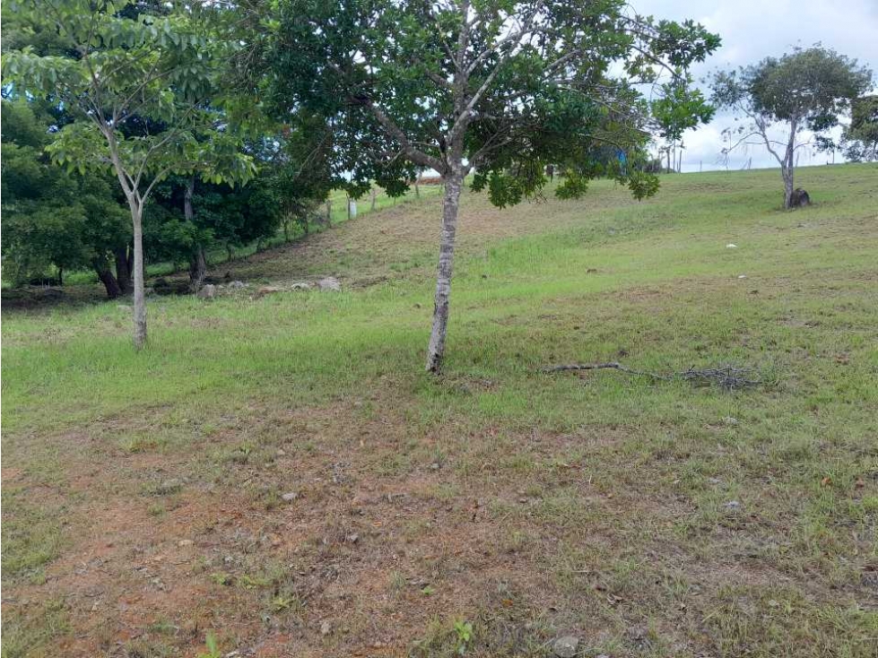 TERRENO A LA VENTA EN CAMINO A LA LAGUNA CHAME - 5