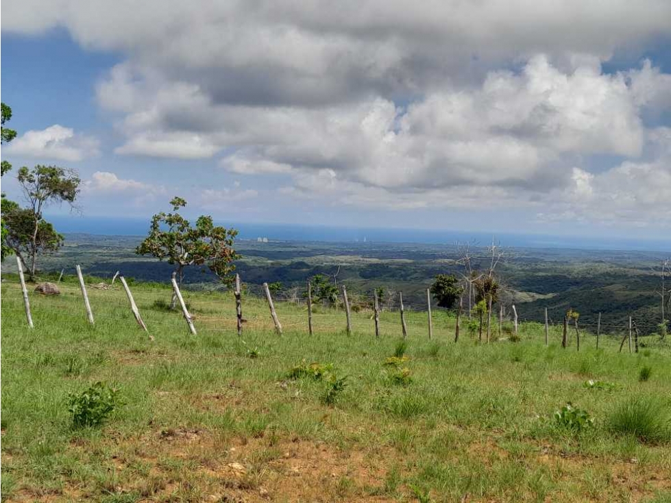 TERRENO A LA VENTA EN CAMINO A LA LAGUNA CHAME - 1