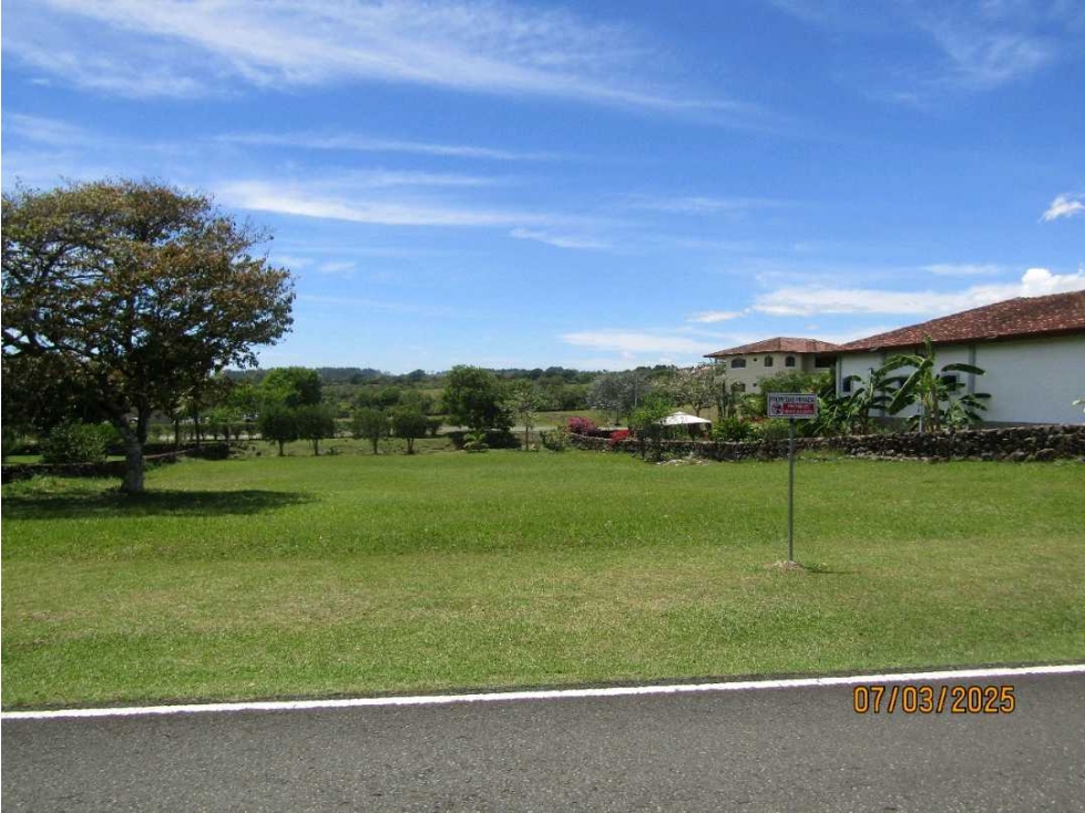 TERRENO A LA VENTA HACIENDA LOS MOLINOS DOLEGA CHIRIQUI — foto 2