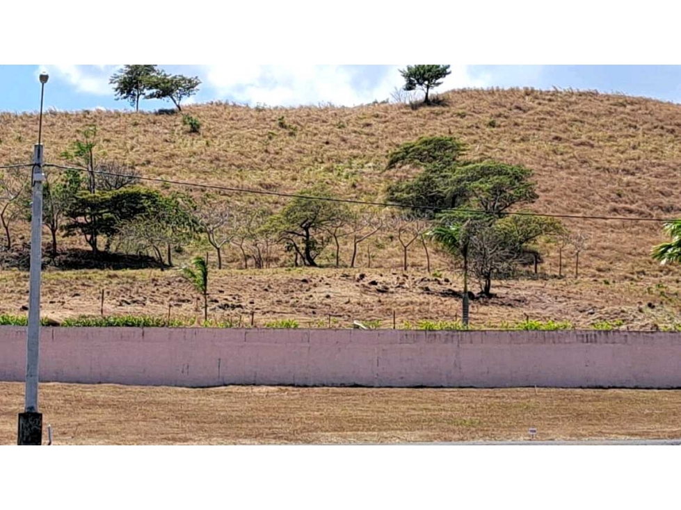 TERRENO A LA VENTA PH BRISAS DEL CELAJE CHAME — foto 4
