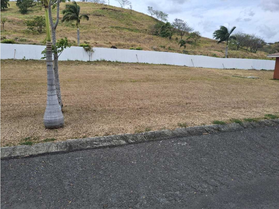TERRENO A LA VENTA PH BRISAS DEL CELAJE CHAME — foto 5