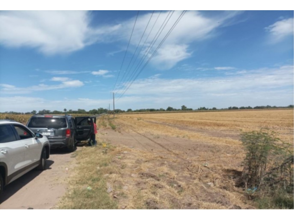 Terreno Agrícola de 7.5 Hectáreas en Huatabampo, Sonora | Oportunidad - 1