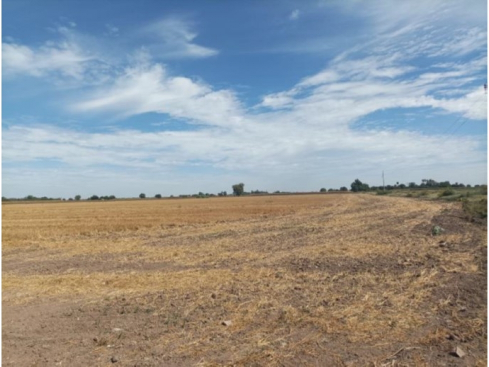 Terreno Agrícola de 7.5 Hectáreas en Huatabampo, Sonora | Oportunidad - 2