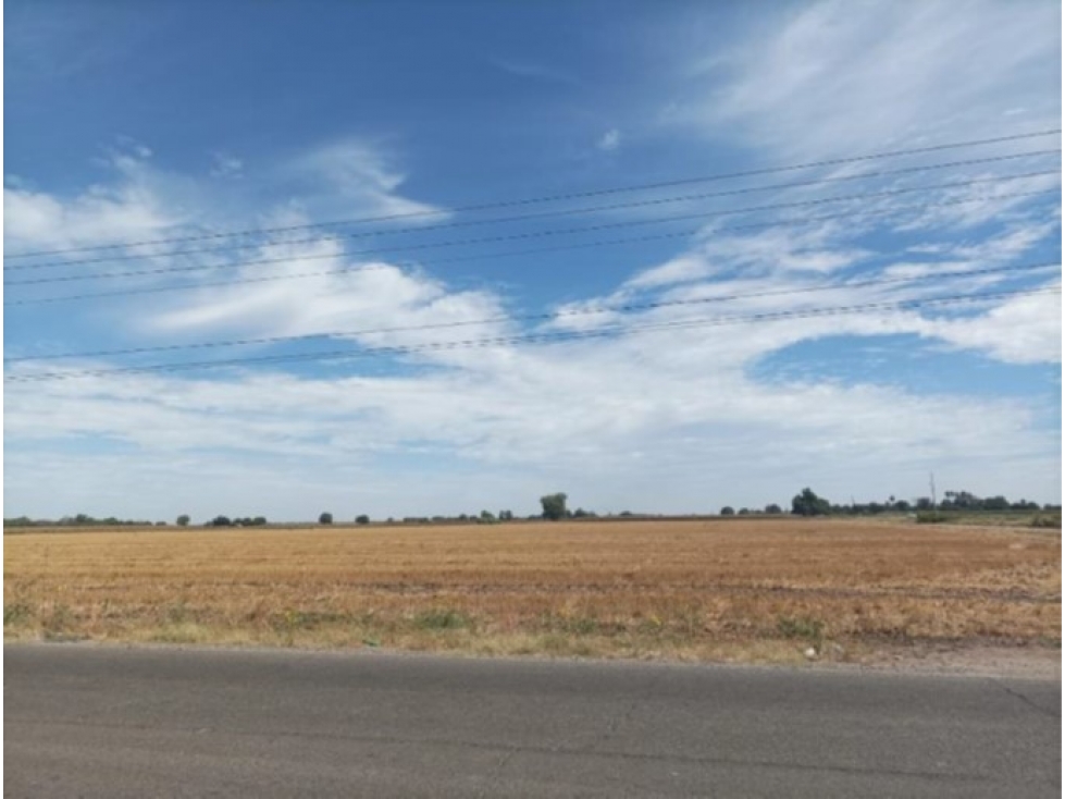 Terreno Agrícola de 7.5 Hectáreas en Huatabampo, Sonora | Oportunidad - 3